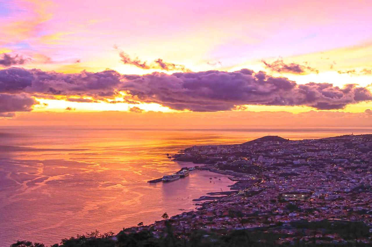 Luxury One Bedroom Palheiro Village By Hr Madeira Funchal Dış mekan fotoğraf